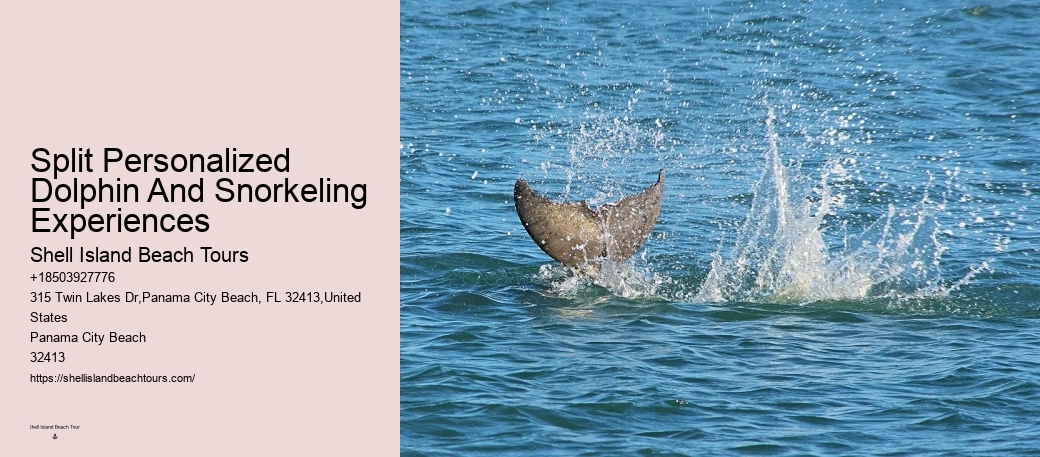 Are there evening sunset dolphin tours available in Panama City Beach