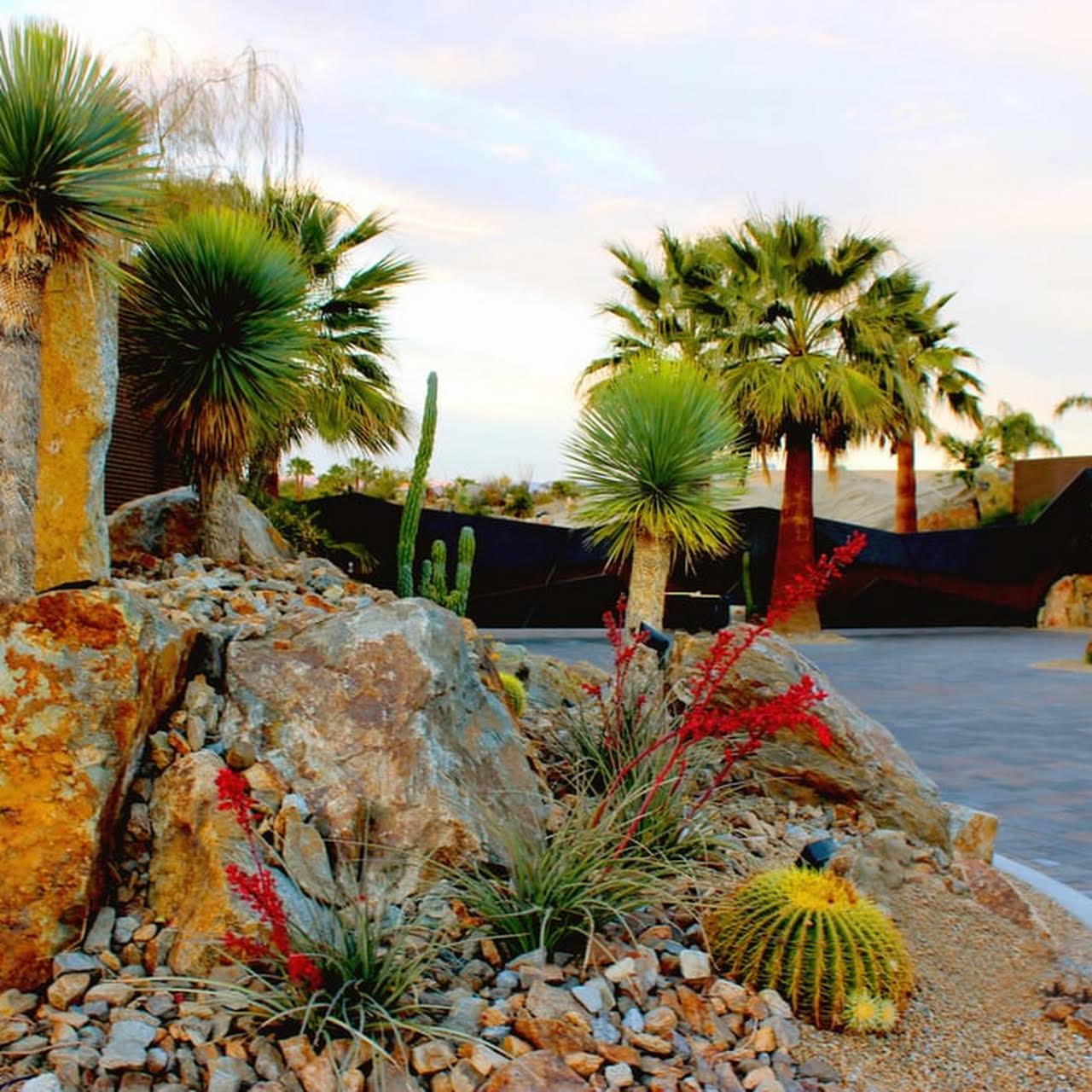 Tucson Landscaper Llc Kidn