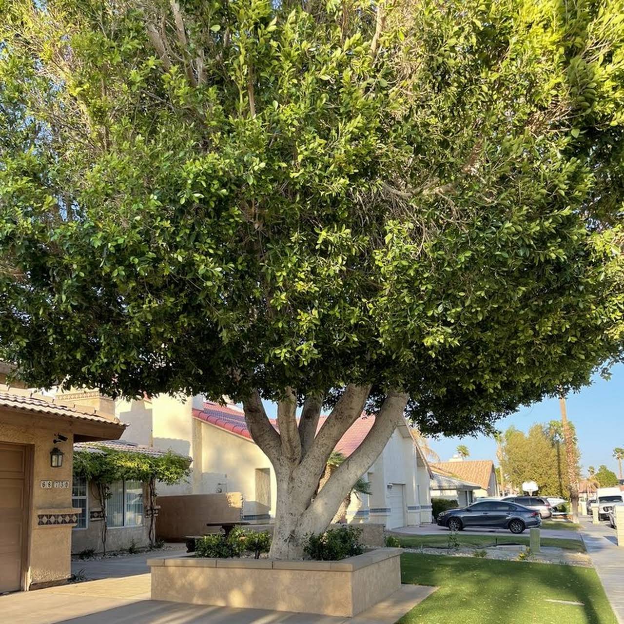 Commercial Properties