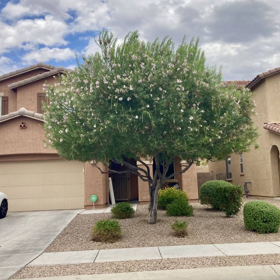 Tucson Landscaper Llc Econolend